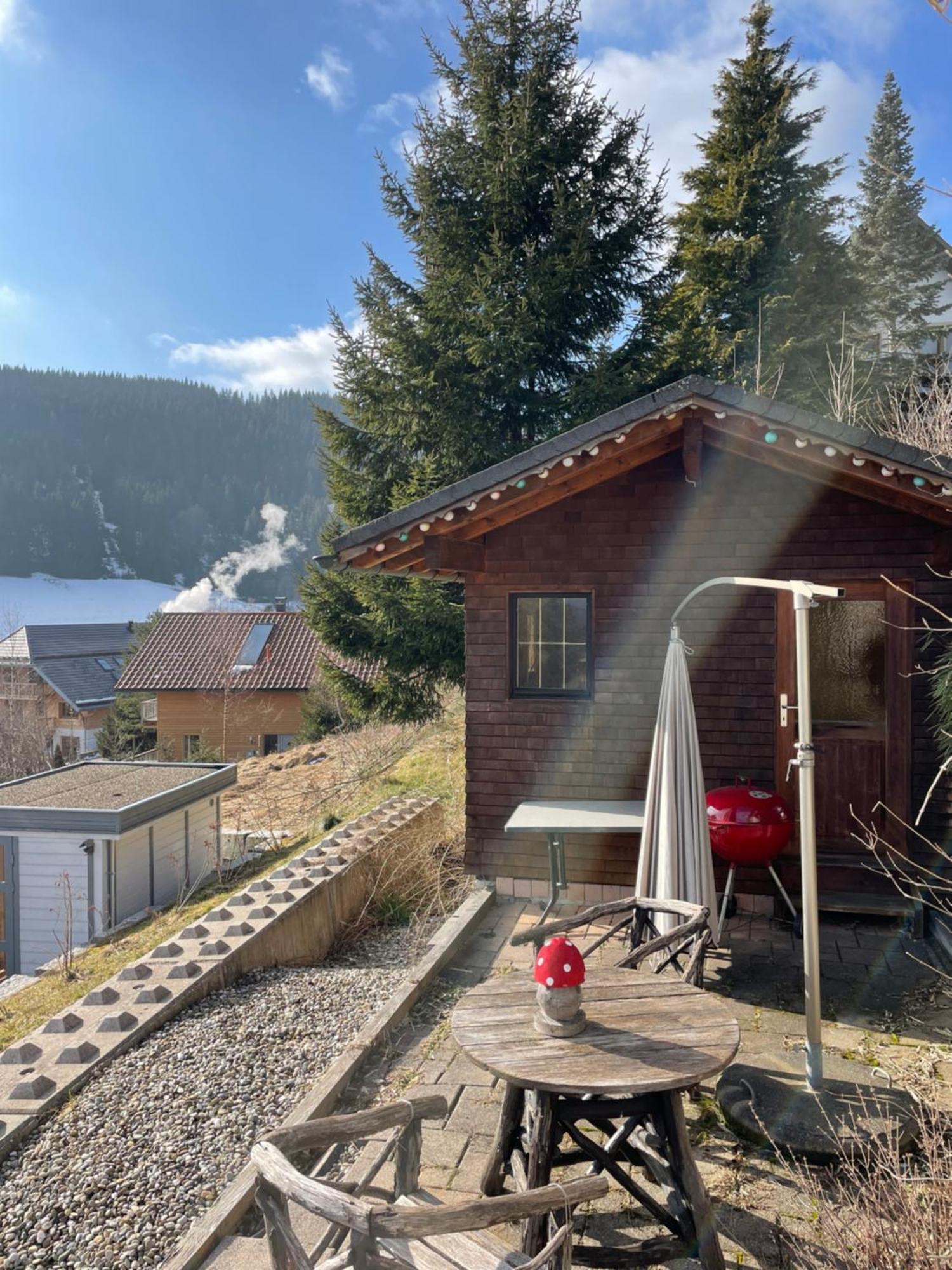 Am Sommerberg - Greschuk Apartments Feldberg  Luaran gambar